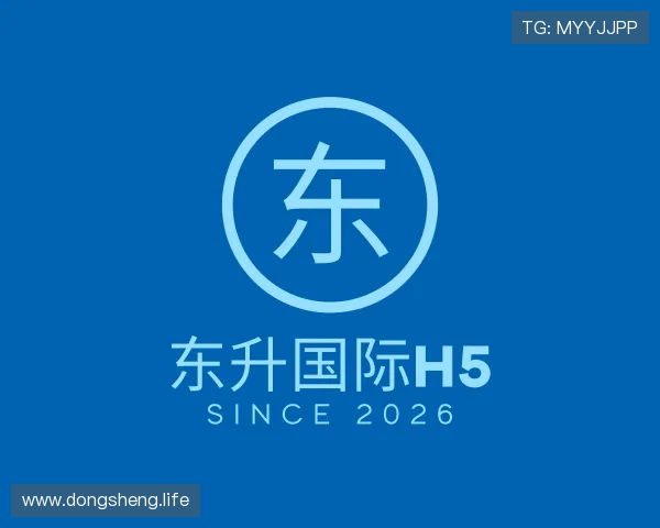 推介东升国际h5