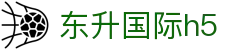 东升国际h5 - 东升国际ds8 vip